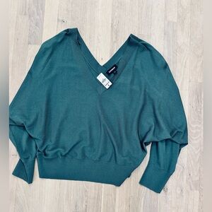 Express Teal V-Neck Sweater